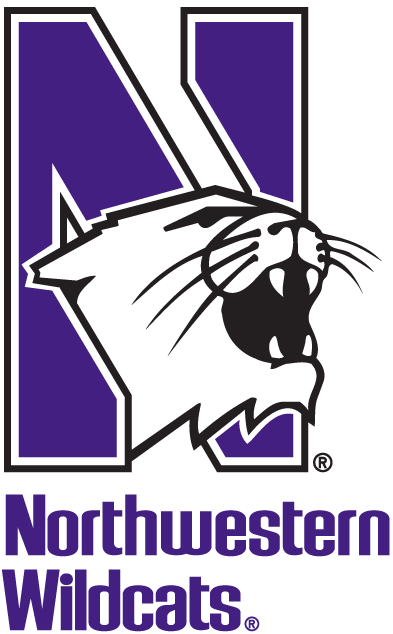 Northwestern Wildcats 1981-Pres Alternate Logo v2 diy fabric transfer